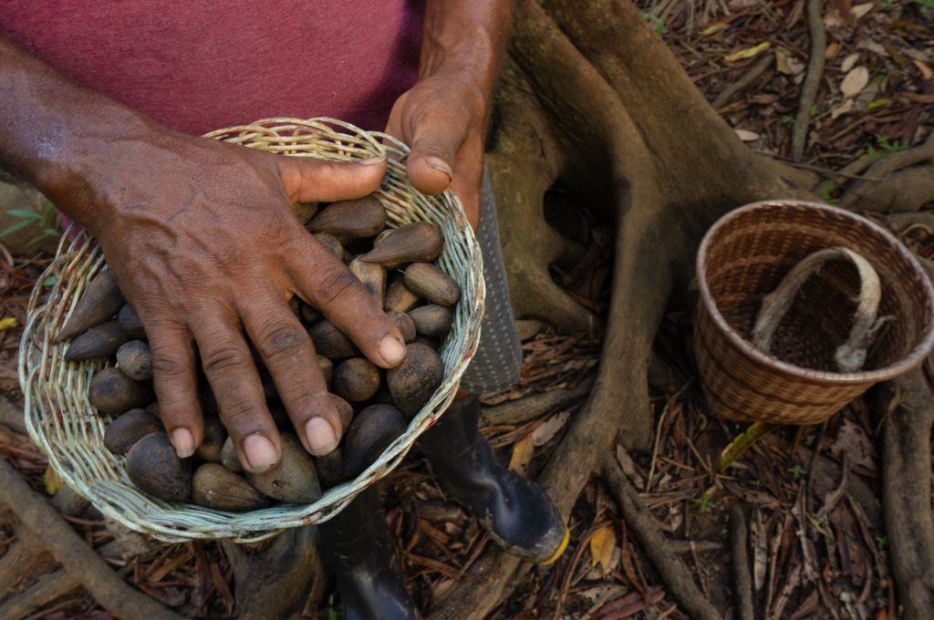 Venda Direta com IA: Inovação na Beleza Brasileira