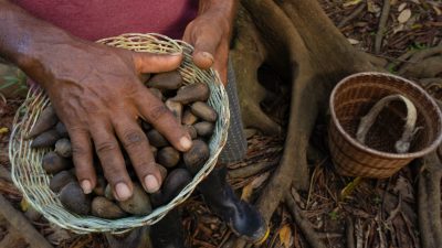 Venda Direta com IA: Inovação na Beleza Brasileira